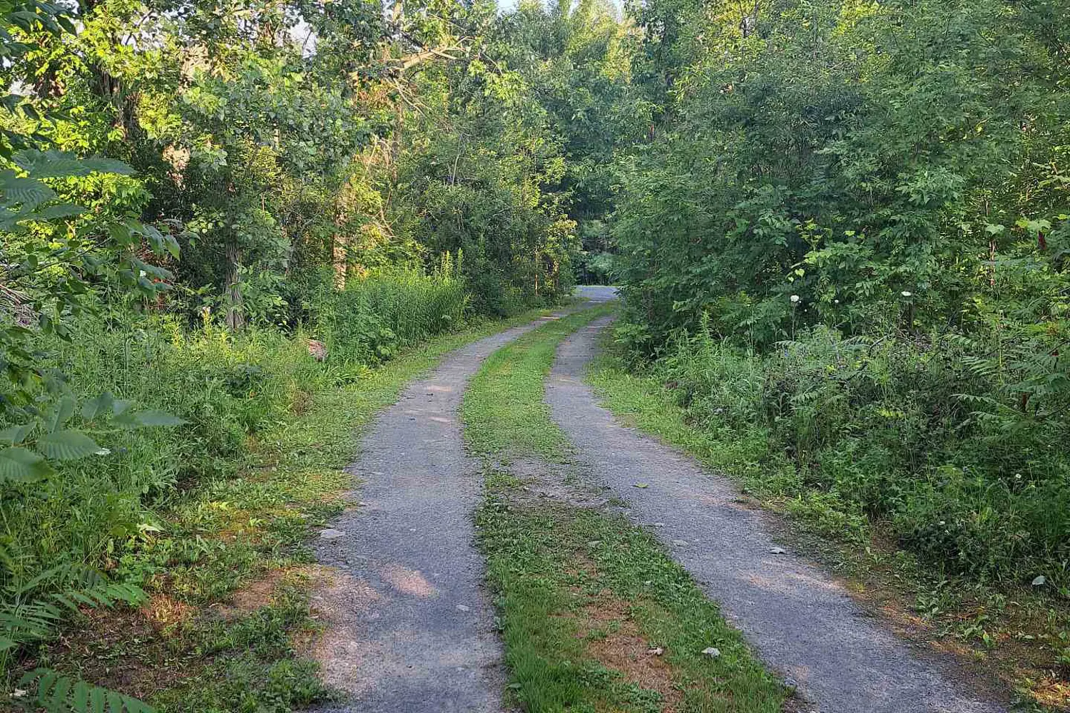 Additional image 5 of Pt Lt16 North Lunenburg Road