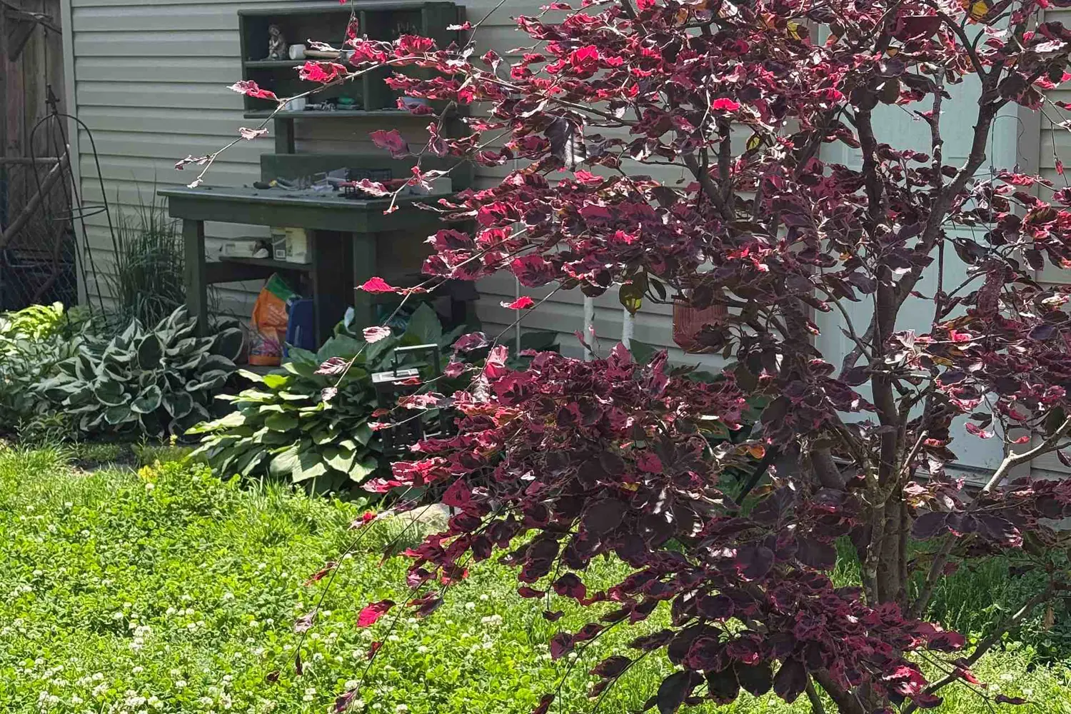16 Mcghie Street photo 4