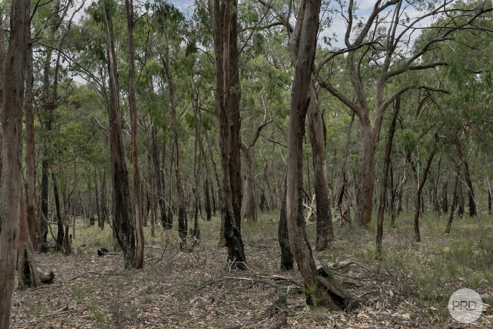 Additional image 8 of Lot 5 Haighs Lane, Snake Valley VIC 3351
