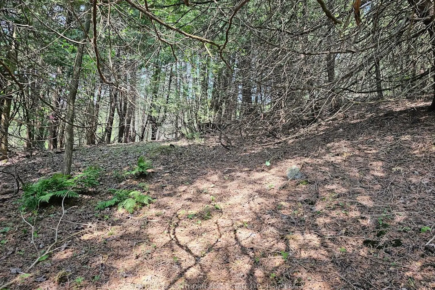 Additional image 8 of 0000 Cedarstone Road