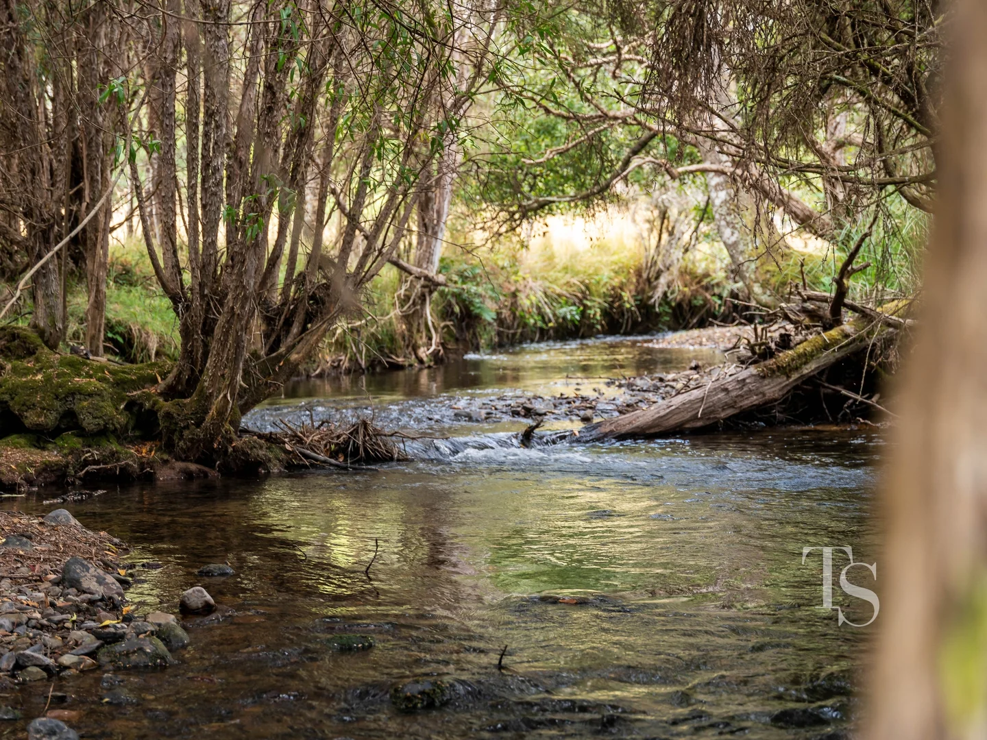 Additional image 20 of 429 Liena Road, Mole Creek TAS 7304