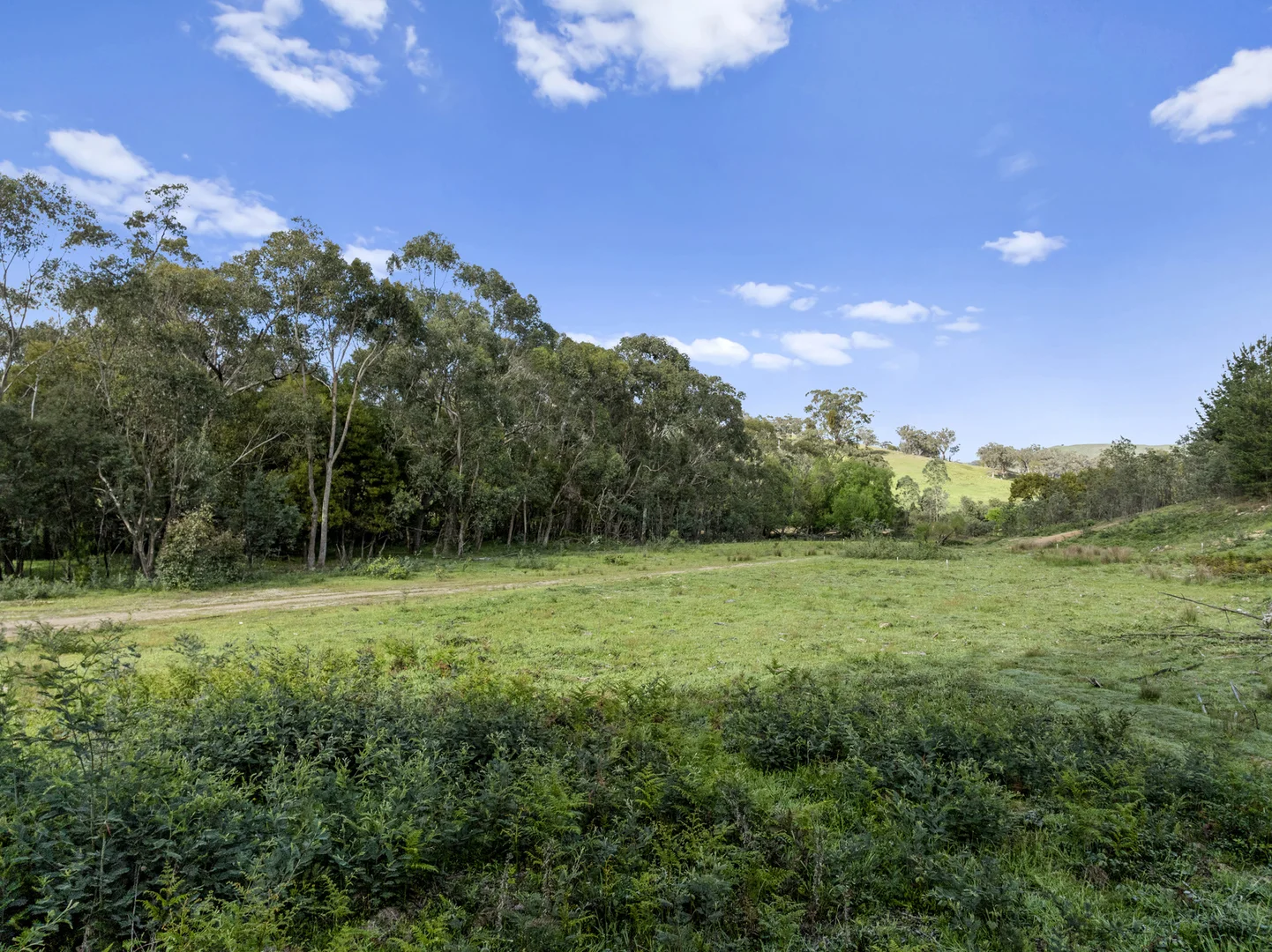 Additional image 5 of 259 Hells Hole Creek Road, Bonnie Doon VIC 3720