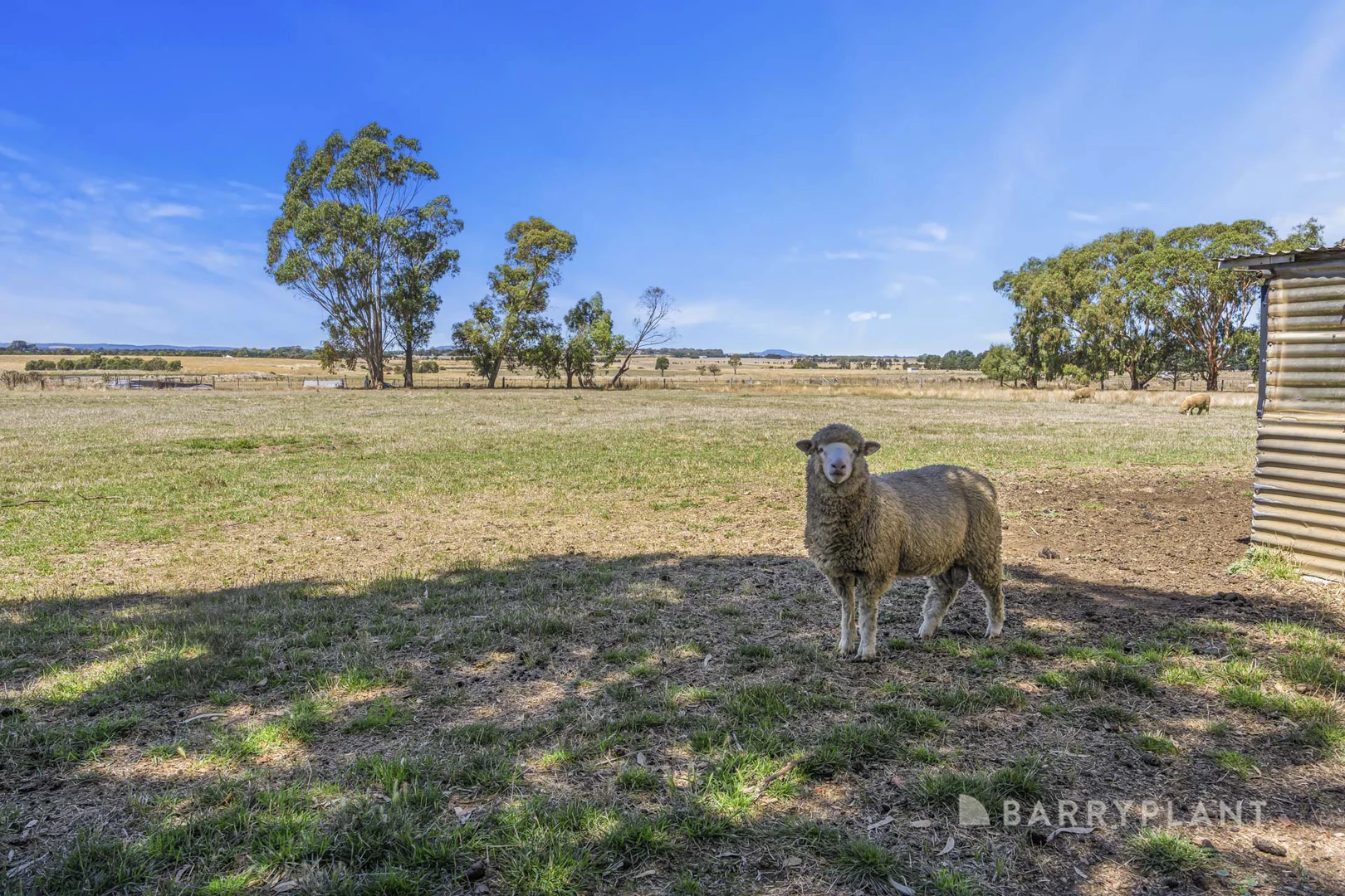 Additional image 22 of 91 Bo Peep Road, Burrumbeet VIC 3352