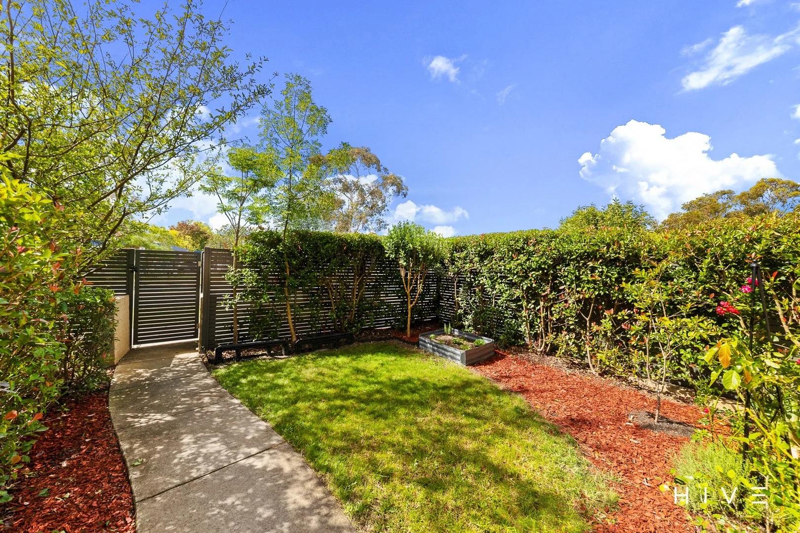 Additional image 5 of 1/51 Ainsworth Street, Mawson ACT 2607