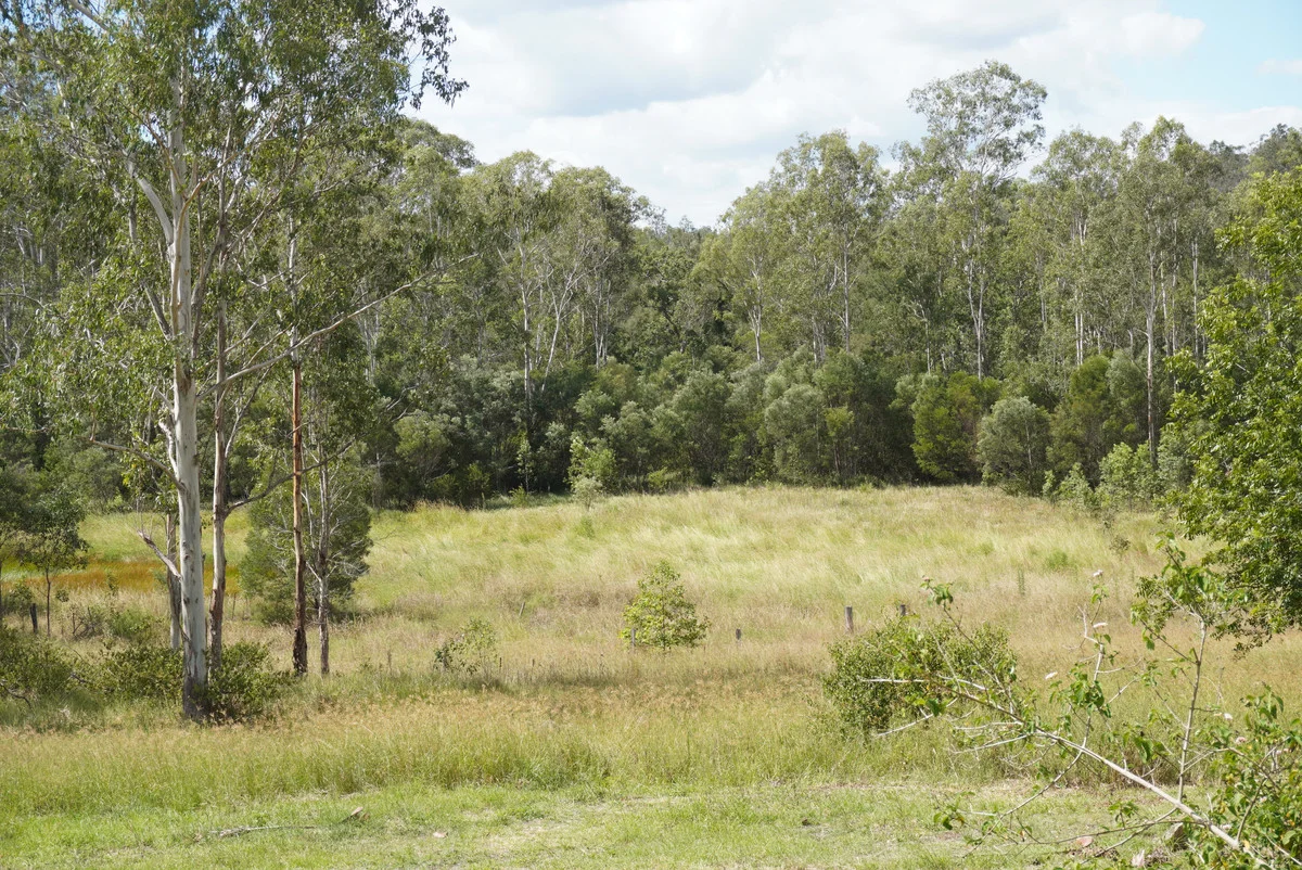 Additional image 39 of 487 Paddys Flat Road, Tabulam NSW 2469
