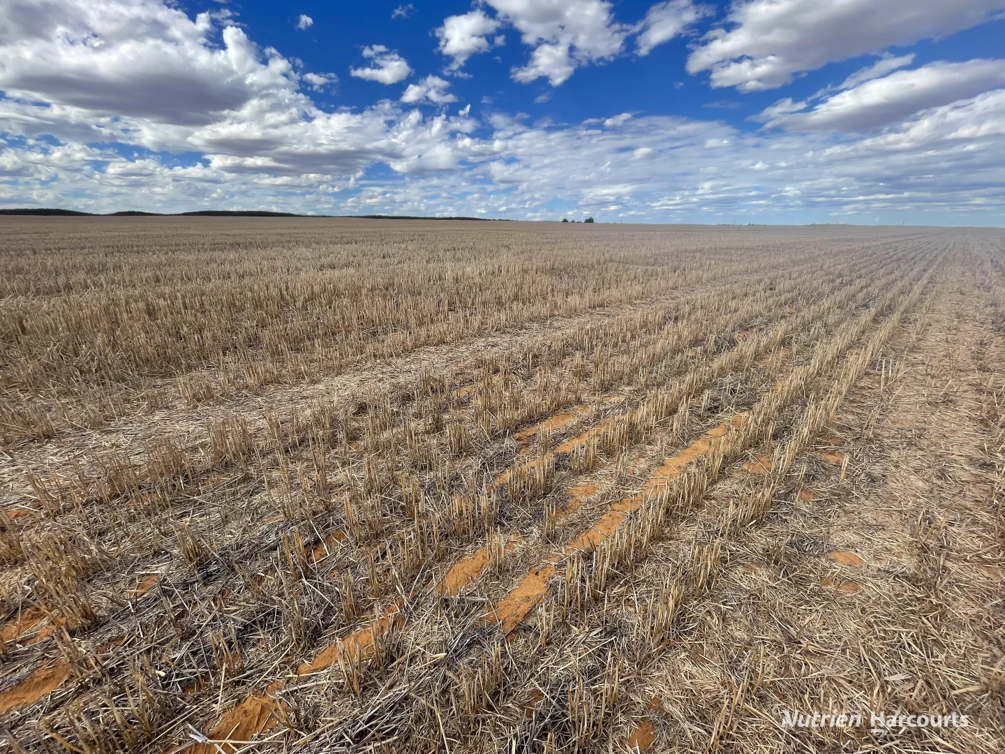 Additional image 20 of . McRoberts Road, Tenindewa WA 6632