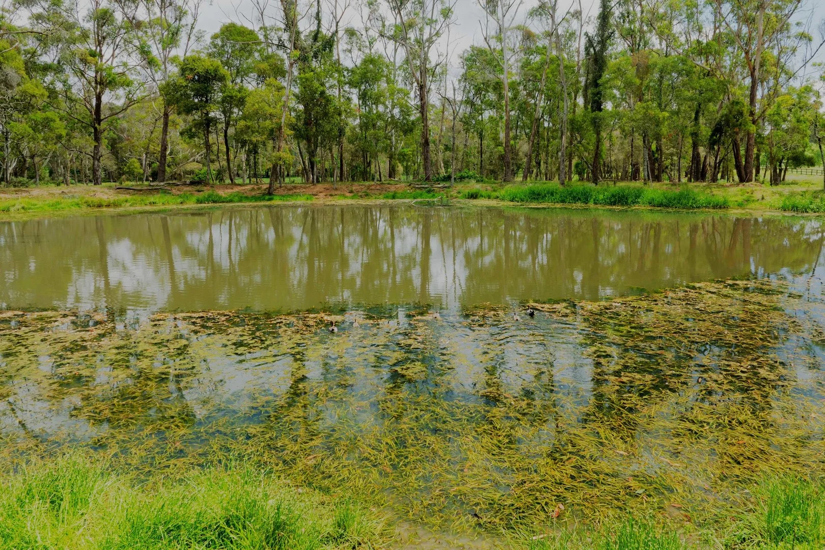 Additional image 13 of 1180 Sheepwash Road, Fitzroy Falls NSW 2577