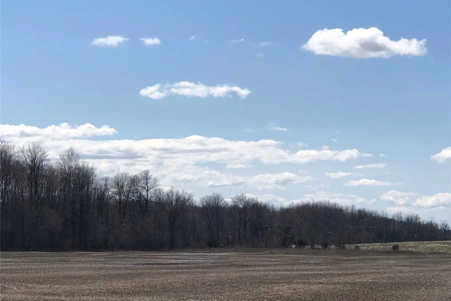 476 Penetanguishene Road photo 4