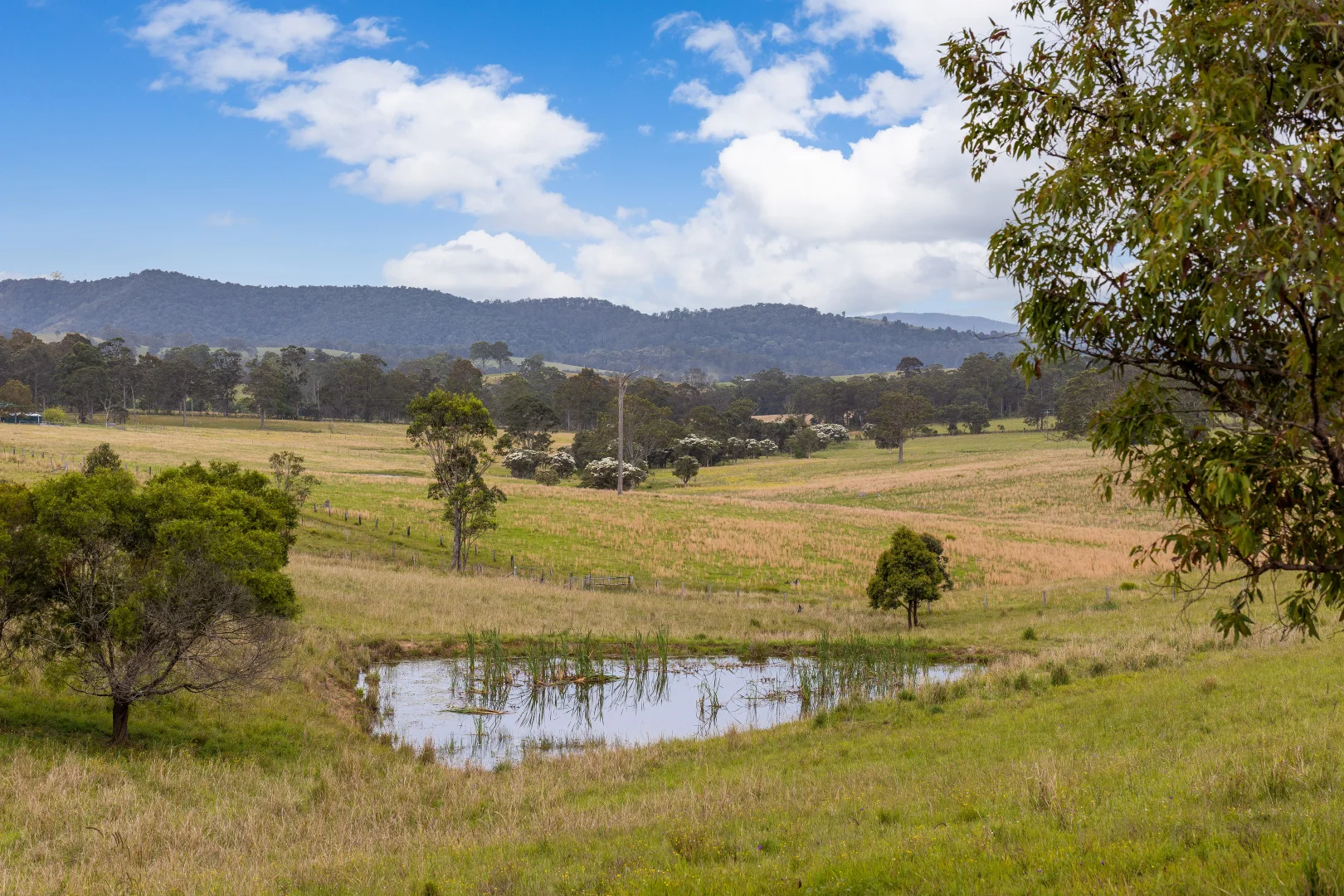 Additional image 3 of 87 Norries Road, Bunyah NSW 2429