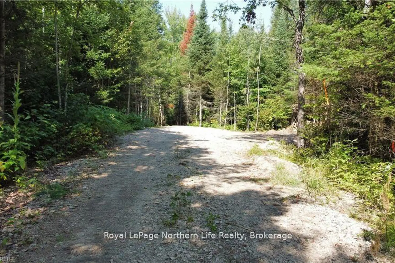 Additional image 12 of 1945 Alsace Road