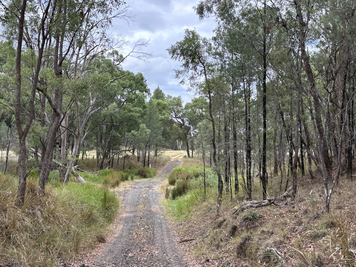 Additional image 2 of 2875 Newell Highway, Rocky Glen NSW 2357