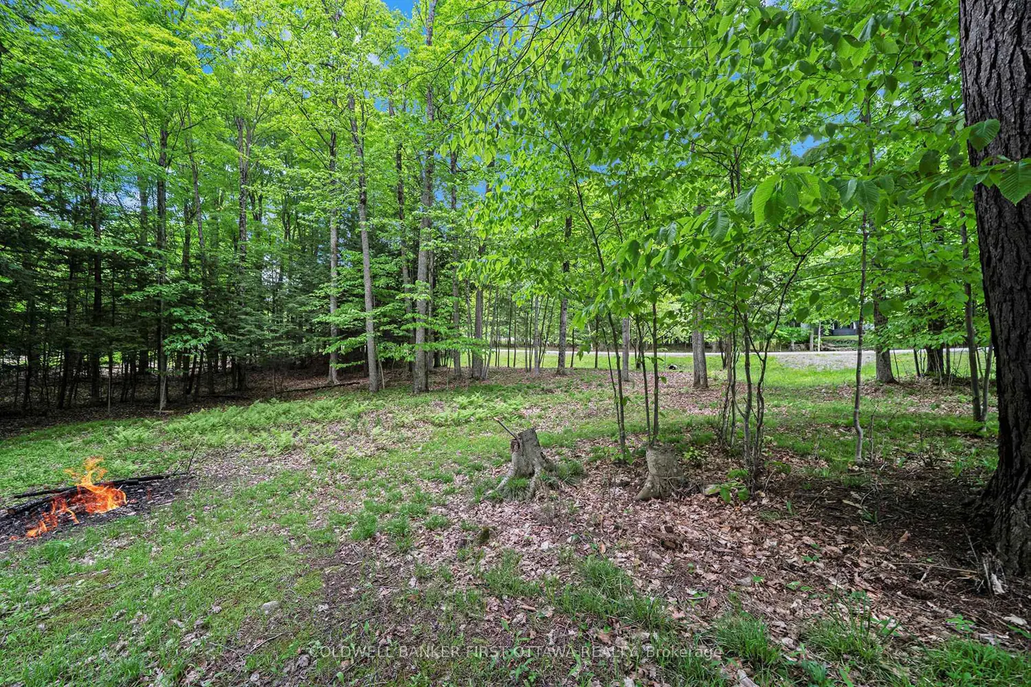 Additional image 12 of 00 Poole Drive