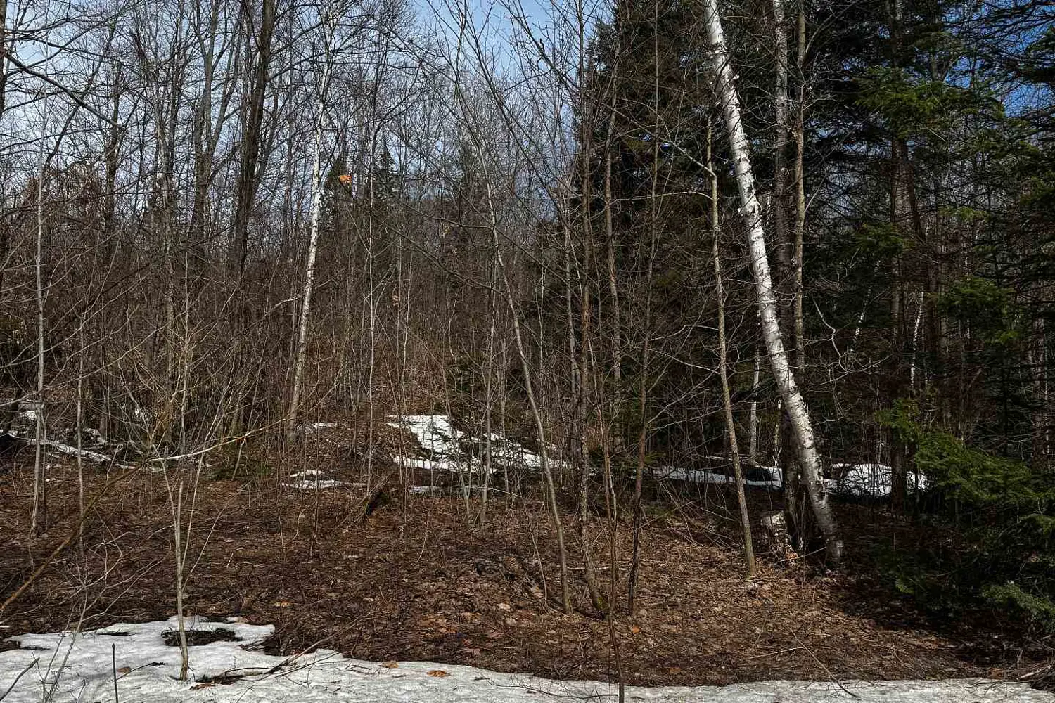 Additional image 20 of Lot 2 Lorimer Lake Road