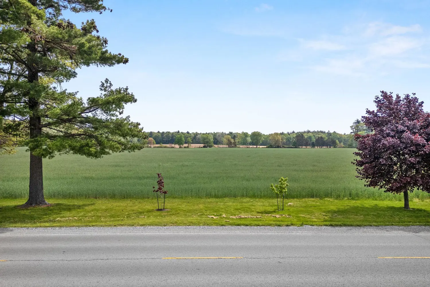 Additional image 10 of N/A Turkey Point Road