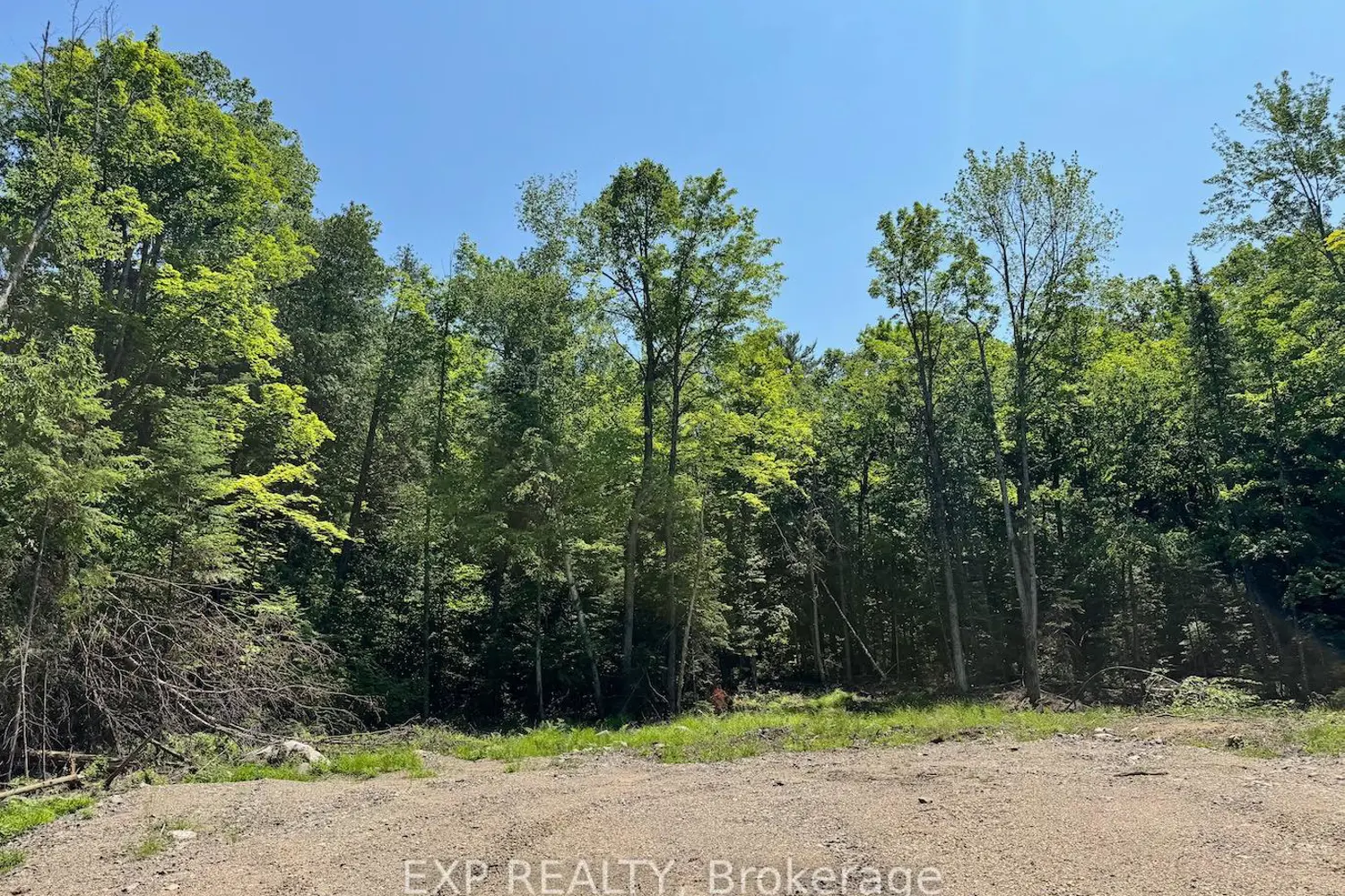 Lot 6 Lakewoods Drive photo 3