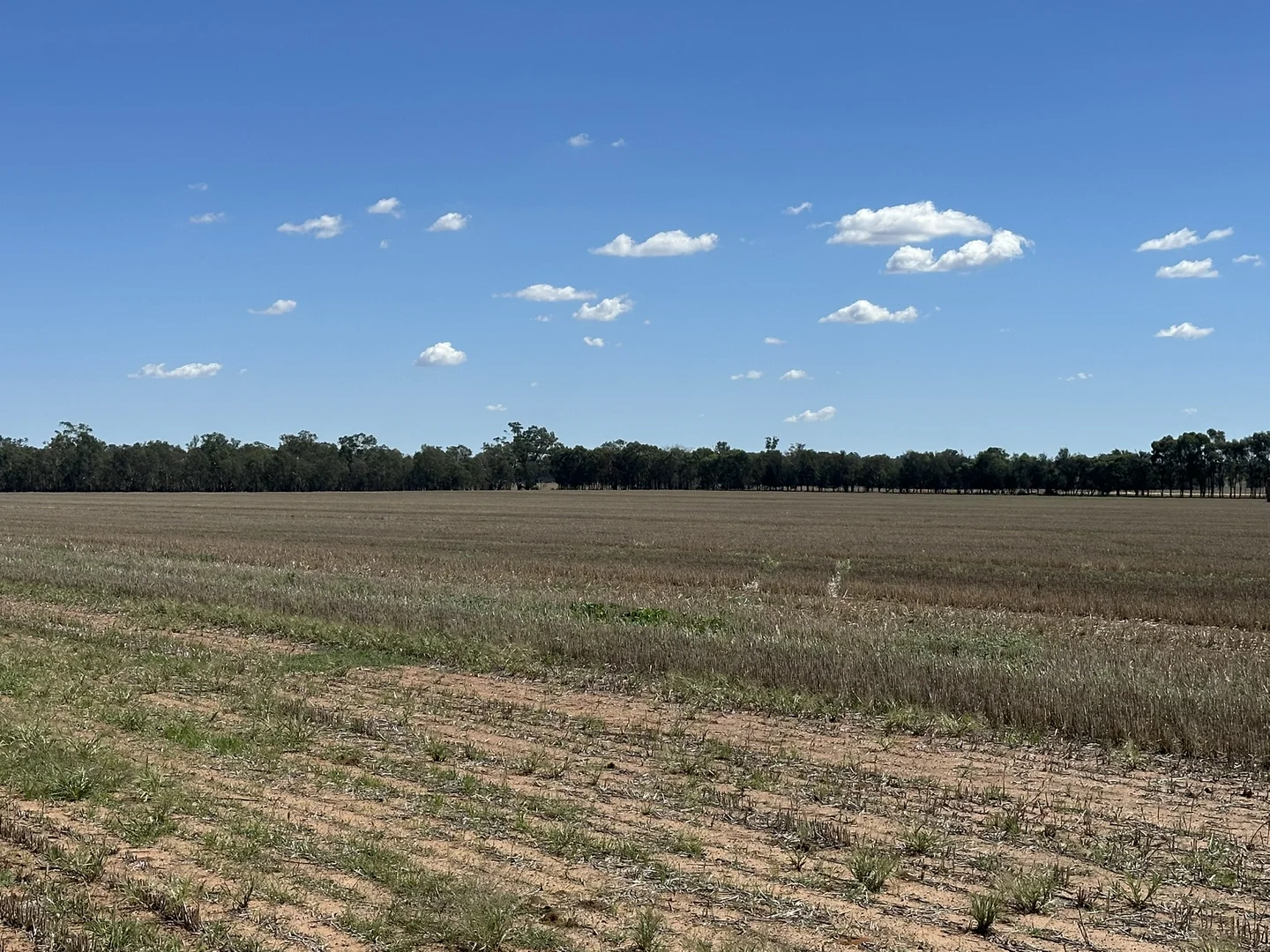 Additional image 20 of 1501 Howlong-Goombargana Road, Brocklesby NSW 2642