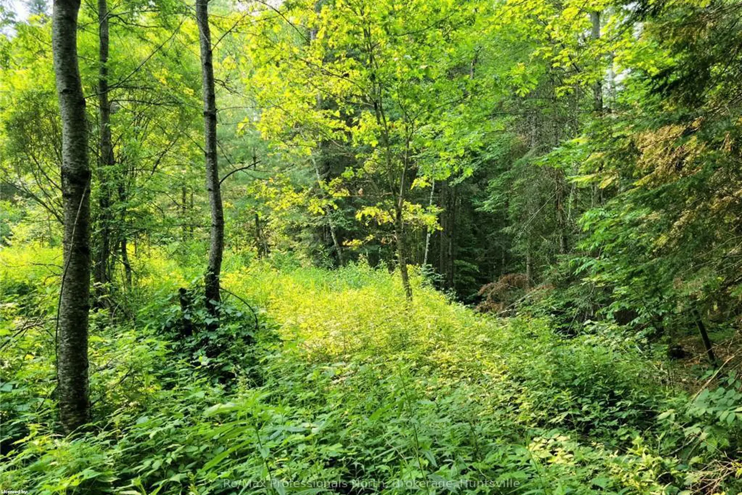 35 Mount Vernon Trail 26 photo 2