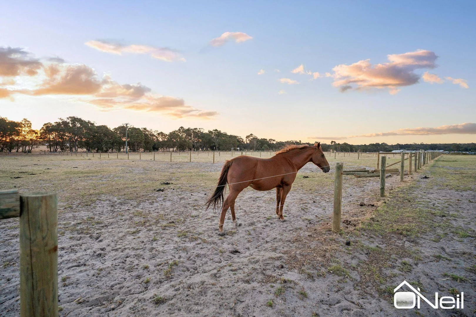Additional image 35 of 11 Chatfield Road, Serpentine WA 6125