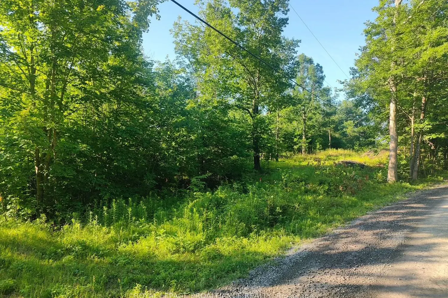 Additional image 3 of 621B Cook Road