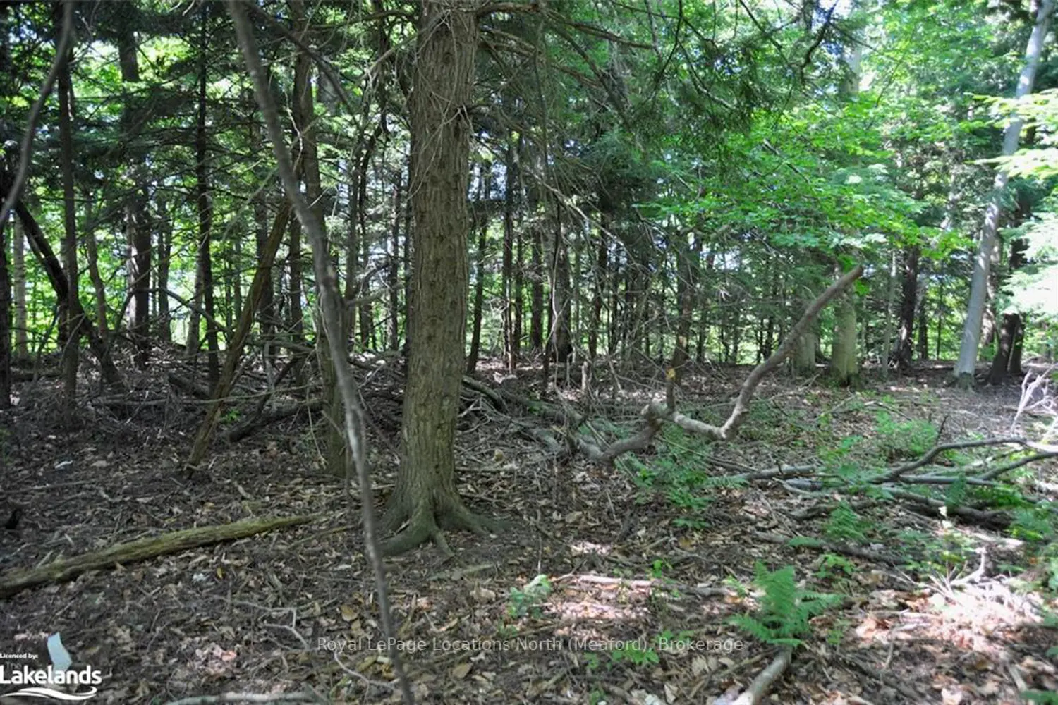 Additional image 9 of Lot 21 Bayshore Road
