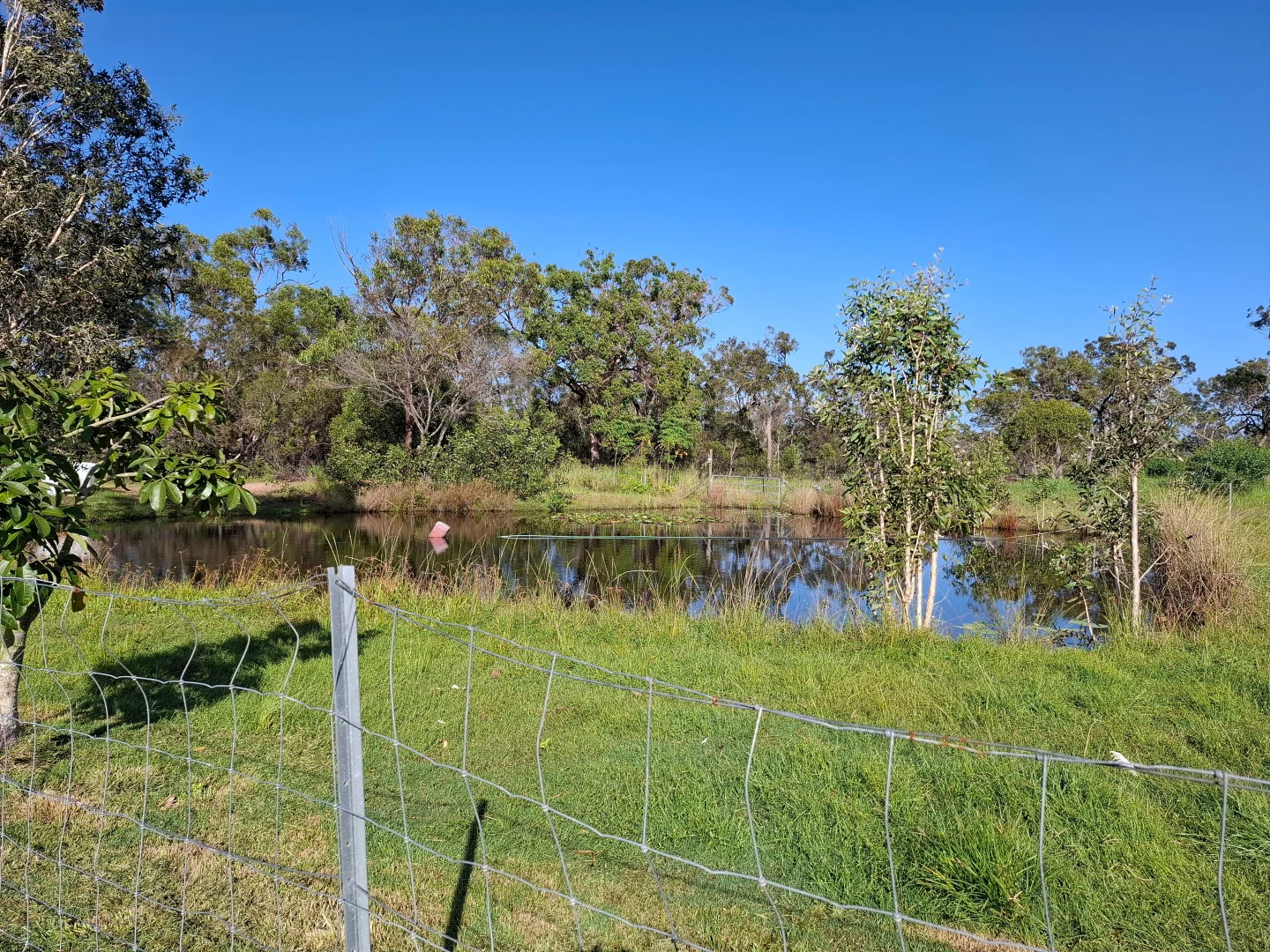 Additional image 22 of 235 Pacific Haven Circuit, Pacific Haven QLD 4659
