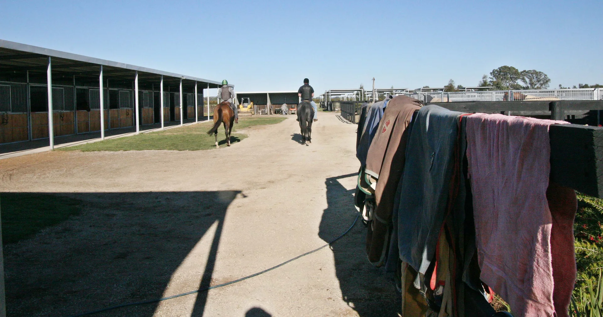 Additional image 5 of 493 Plain Road, Tabilk VIC 3607