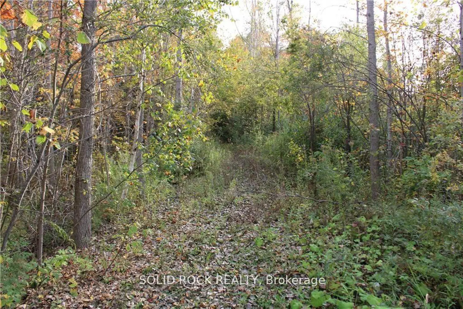 2209 Jochem Road photo 5