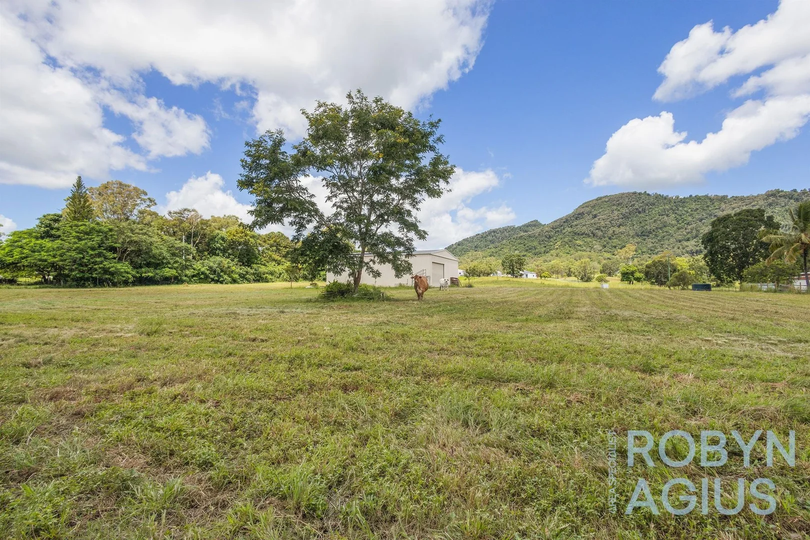 Additional image 29 of 505 Kinchant Dam Road, Kinchant Dam QLD 4741