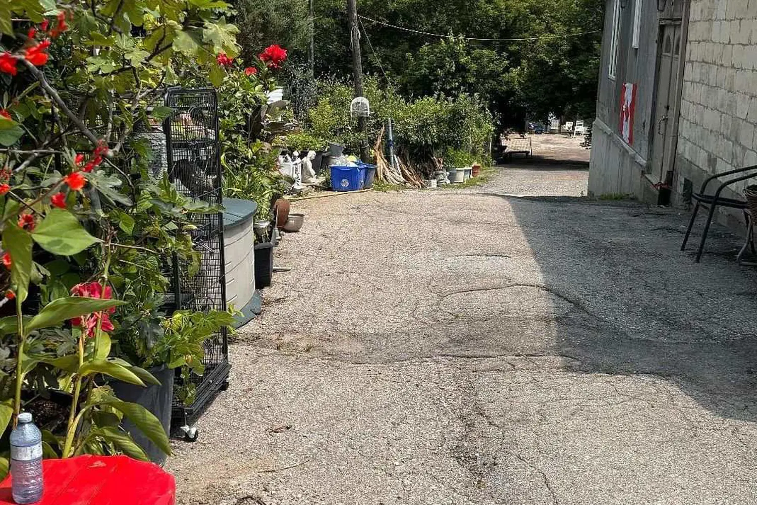 10953 Jane Street photo 5