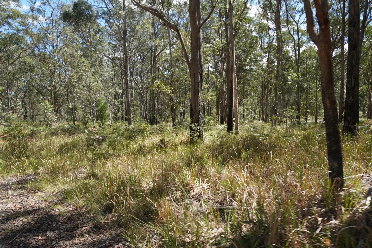 Additional image 36 of 1293 Mount Lindesay Road, Tenterfield NSW 2372
