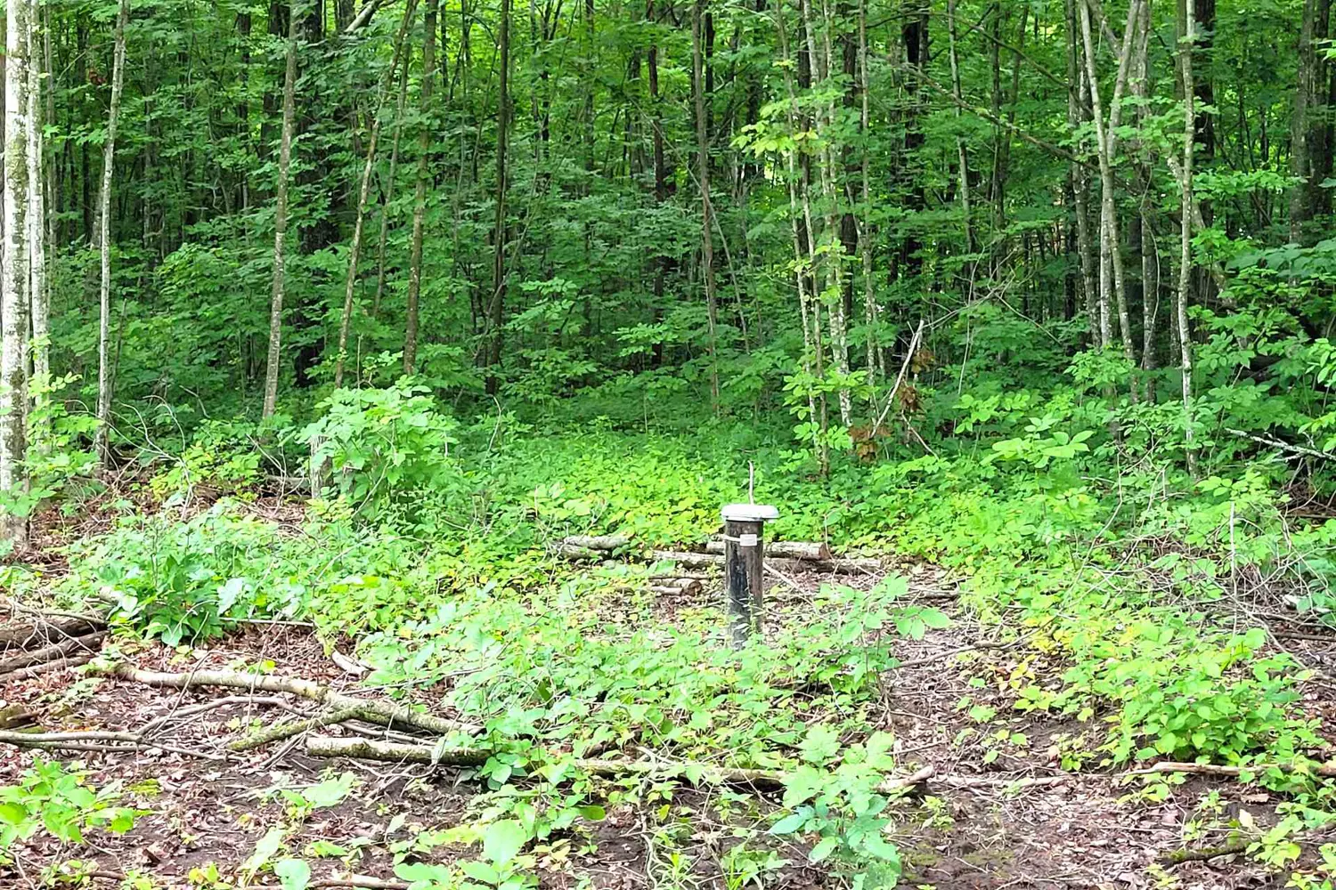 0 Spry Road photo 3