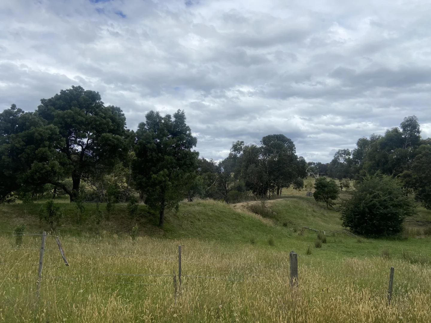 Additional image 2 of 65 Braemore Place, Beveridge VIC 3753