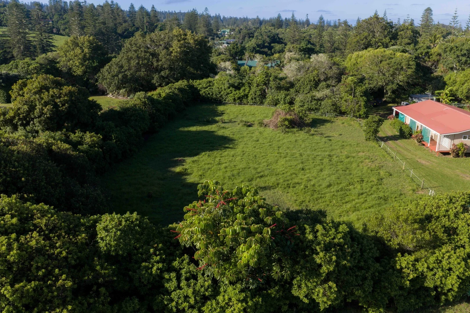 Additional image 29 of 44 Douglas Drive, Norfolk Island NSW 2899