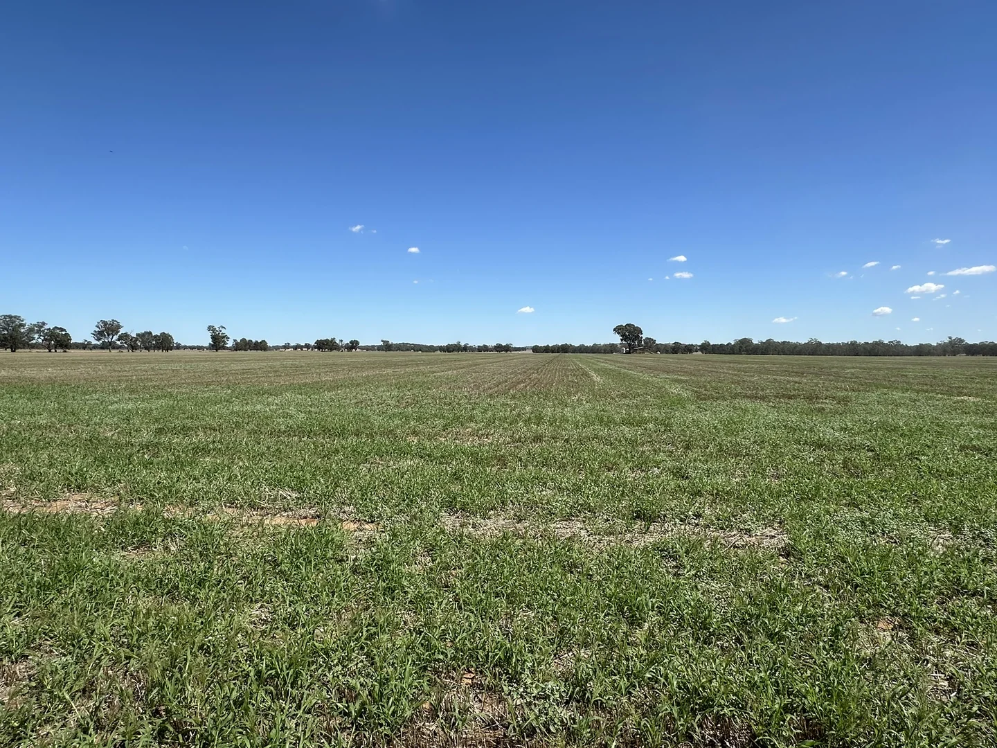 Additional image 3 of 1501 Howlong-Goombargana Road, Brocklesby NSW 2642