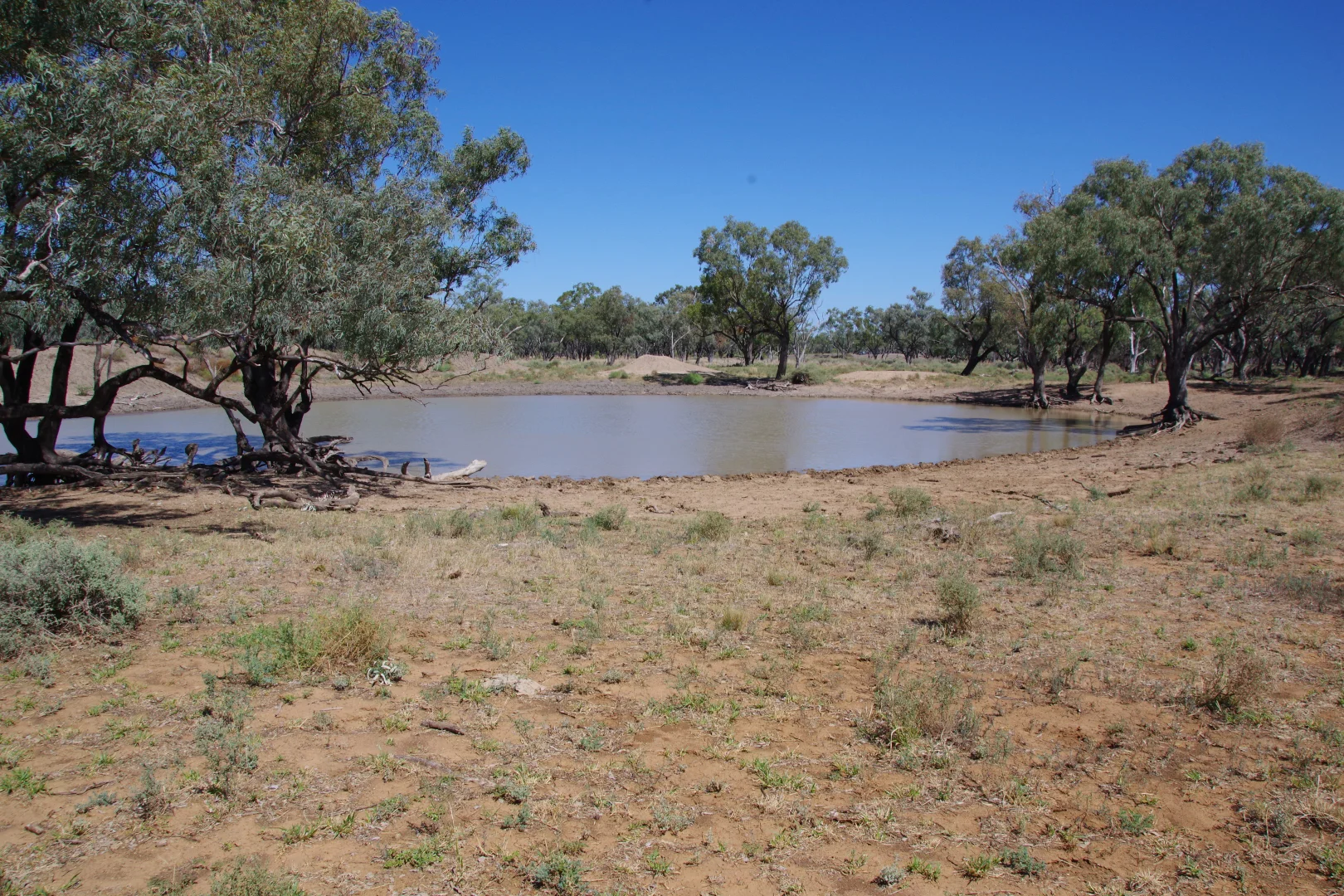 Additional image 36 of . Sunnyside Lane, Wee Waa NSW 2388