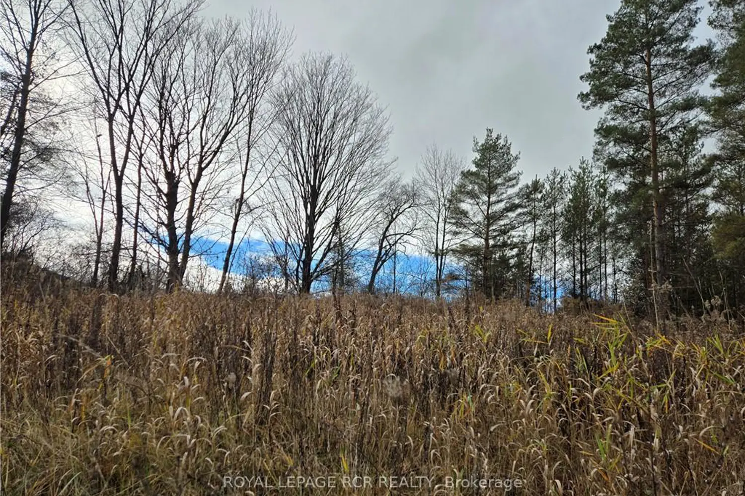 Lt 8 Ws Highway 6 photo 2
