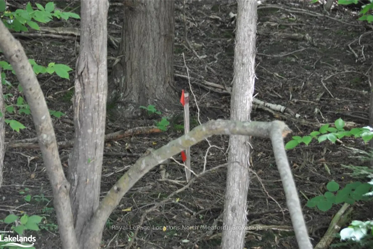 Additional image 17 of Lot 21 Bayshore Road