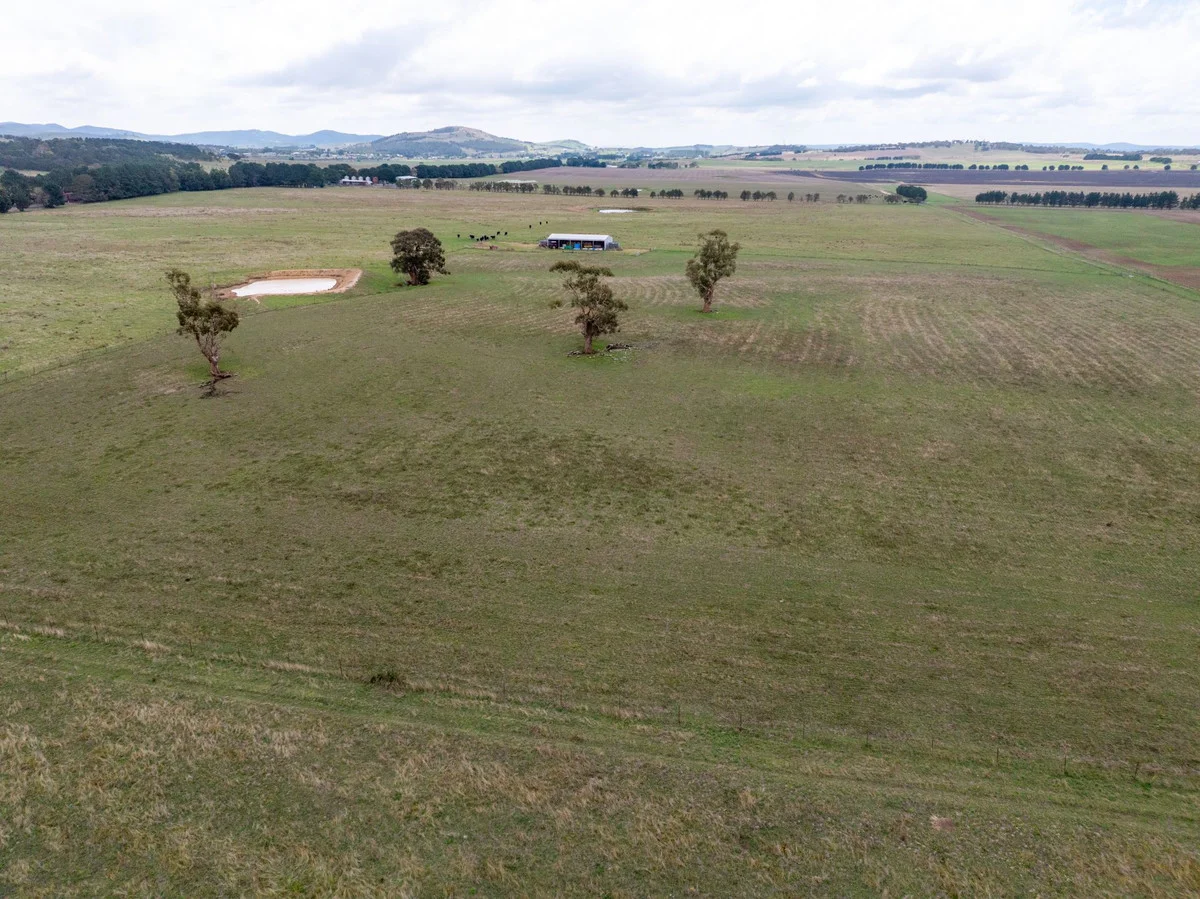 Additional image 12 of 1706 Braidwood Road, Tarago NSW 2580