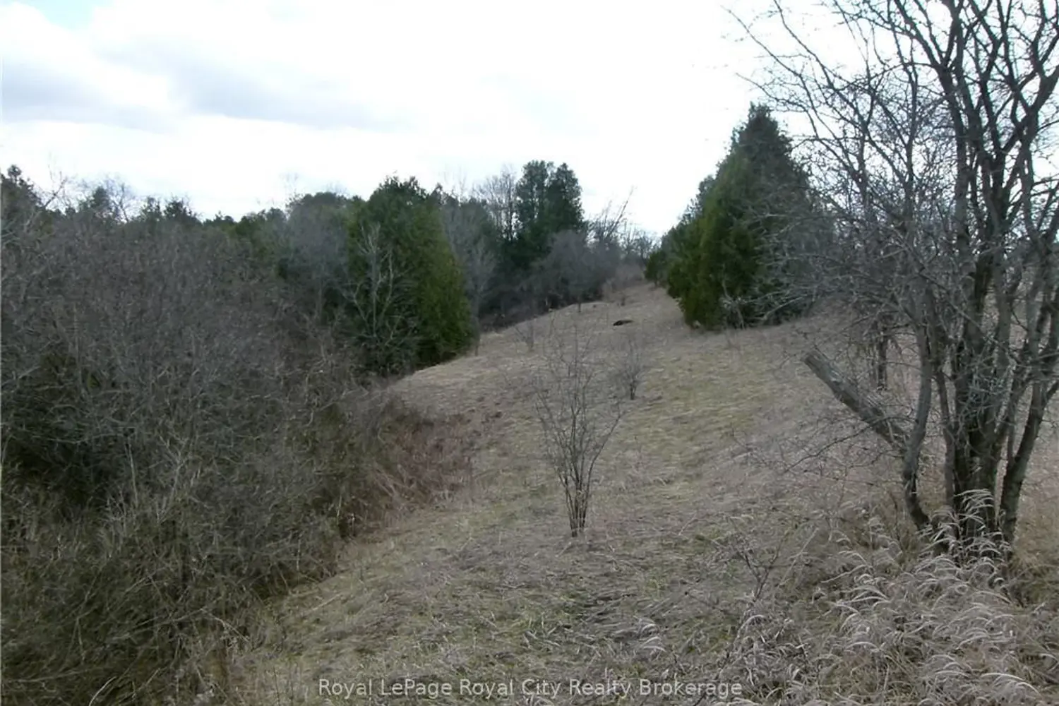 8256 Highway 7 photo 5