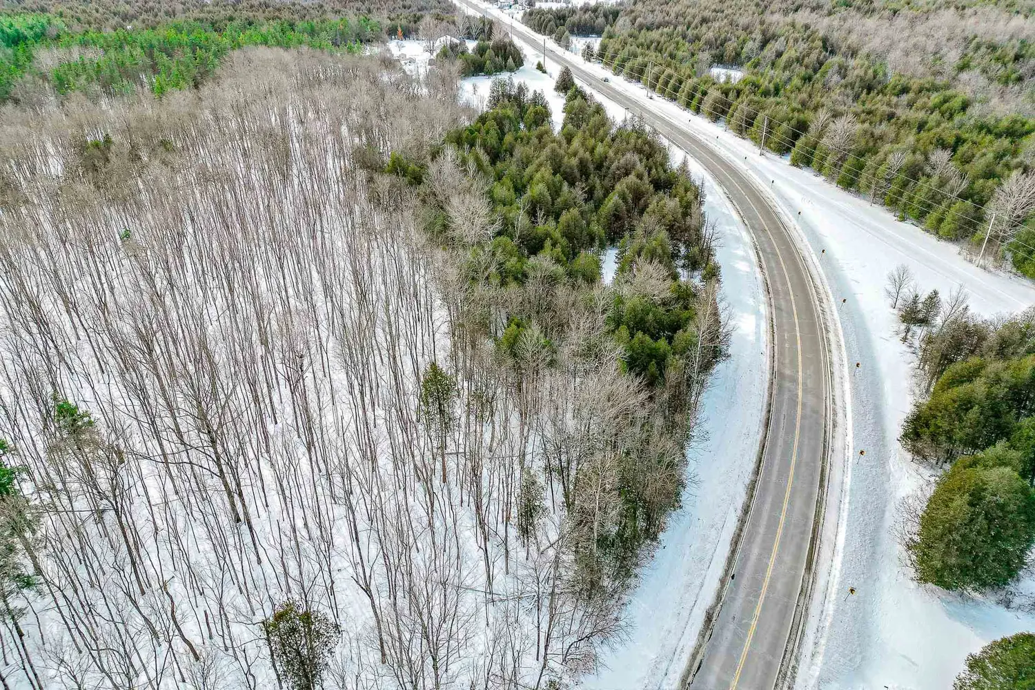 Additional image 5 of 7401 County Road 21 Acres