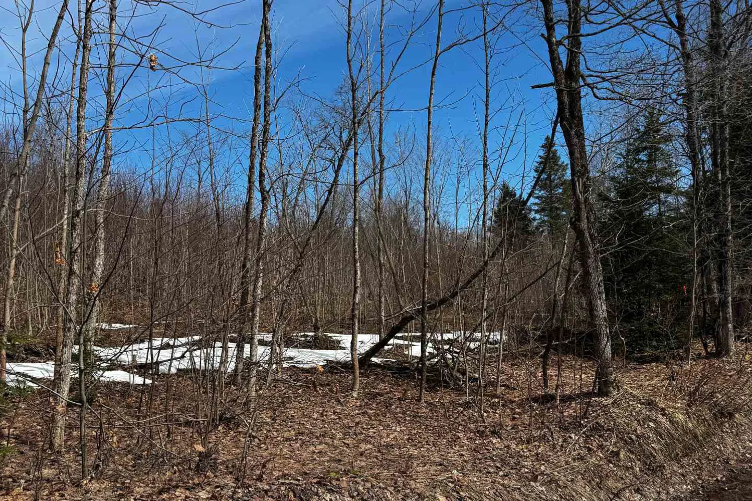 Additional image 18 of Lot 2 Lorimer Lake Road