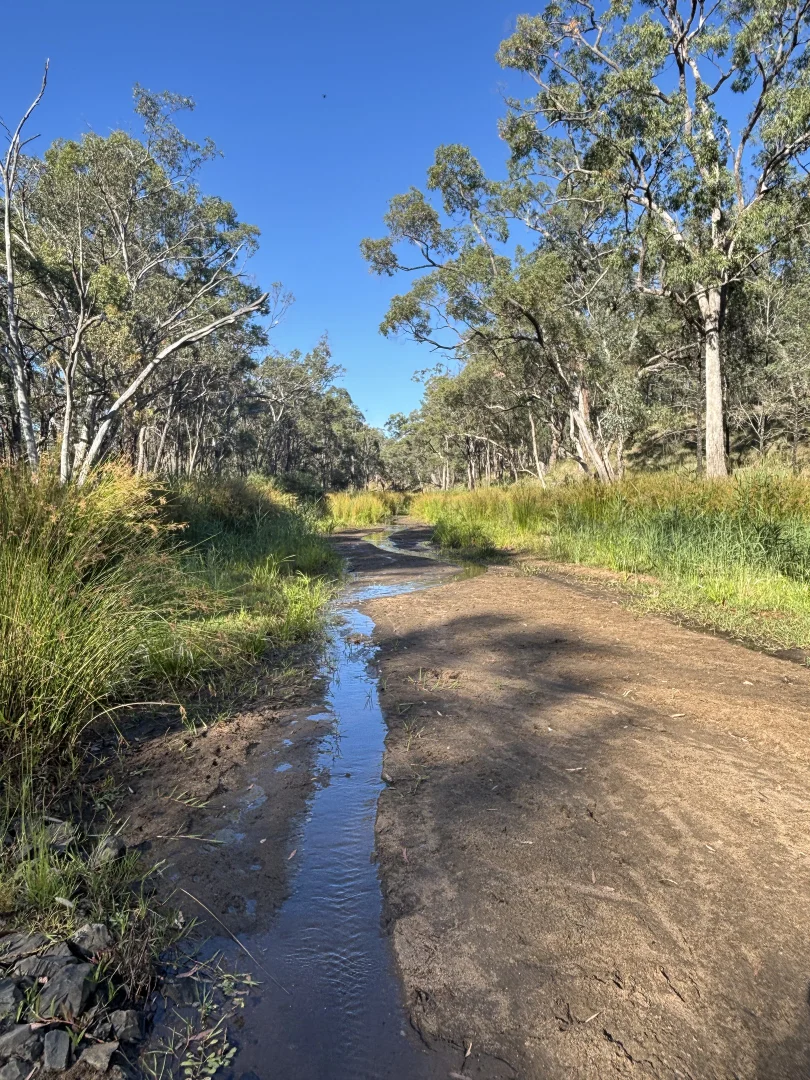 Additional image 3 of 2875 Newell Highway, Rocky Glen NSW 2357