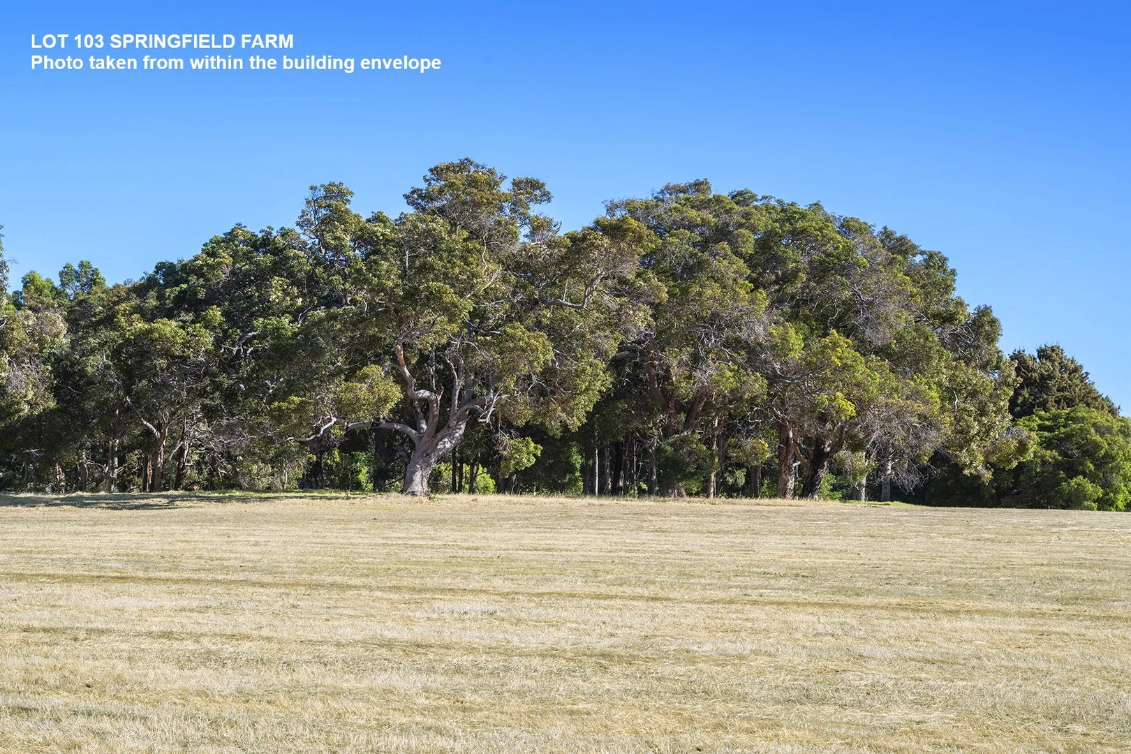 Additional image 5 of Lot 103 Springfield Farm, Yallingup WA 6282