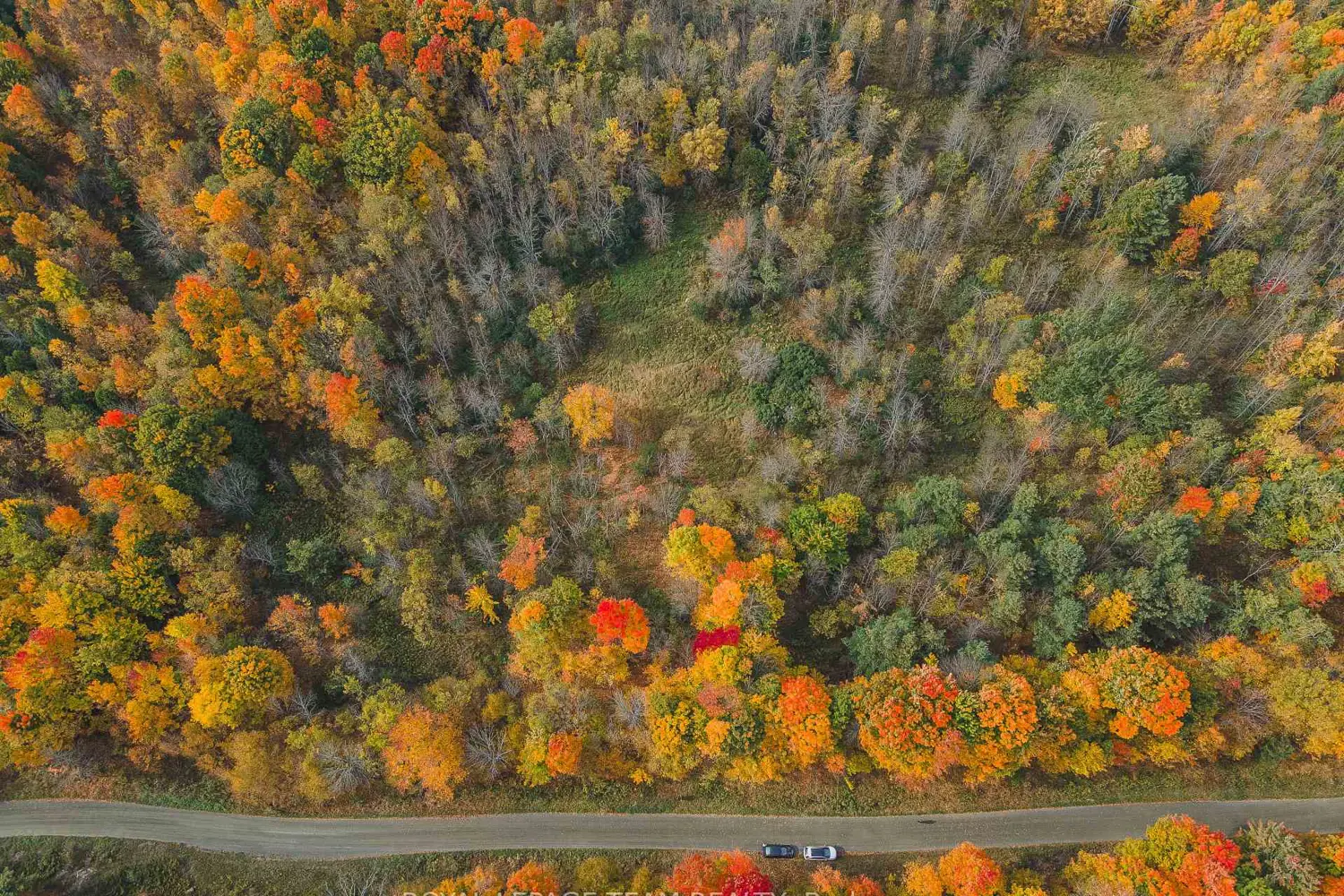 Additional image 16 of Lot 7 10Th Concession B Road