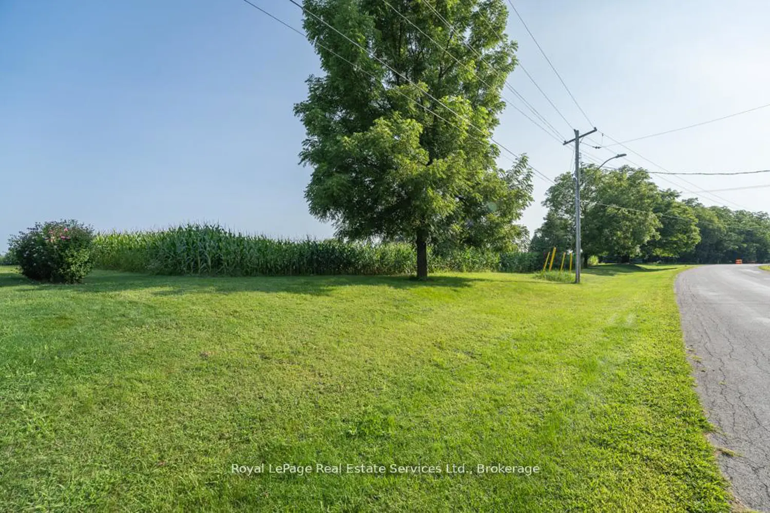 Additional image 10 of 361 Robinson Road