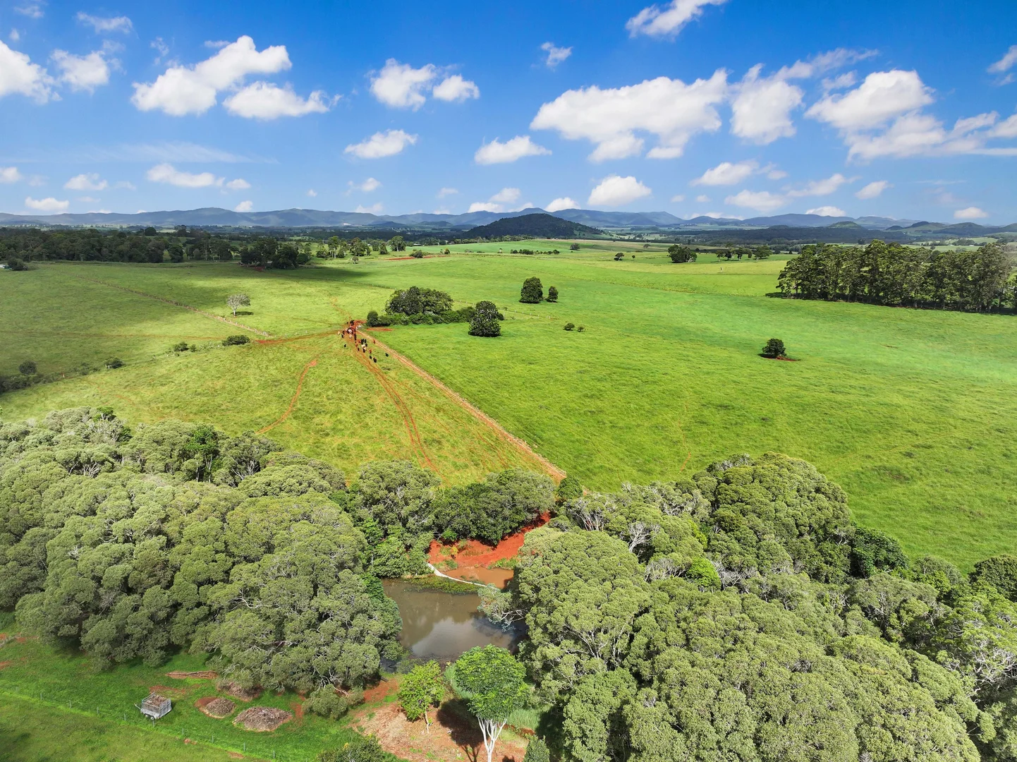 Additional image 4 of Lot 2 Lake Barrine Road, Lake Eacham QLD 4884