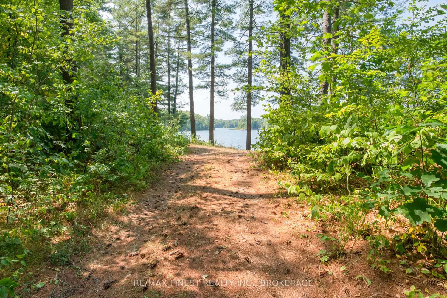 Additional image 18 of 1036A Twin Lake Lane