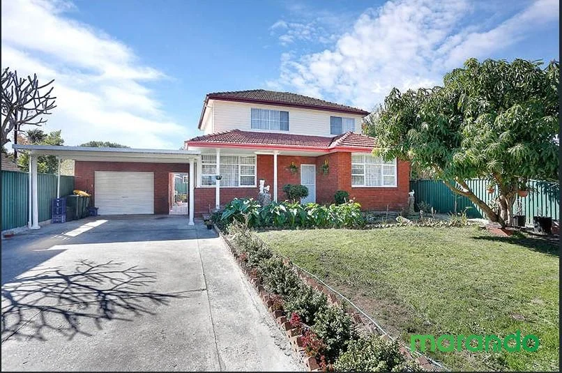 20 Cook Avenue, Canley Vale NSW 2166