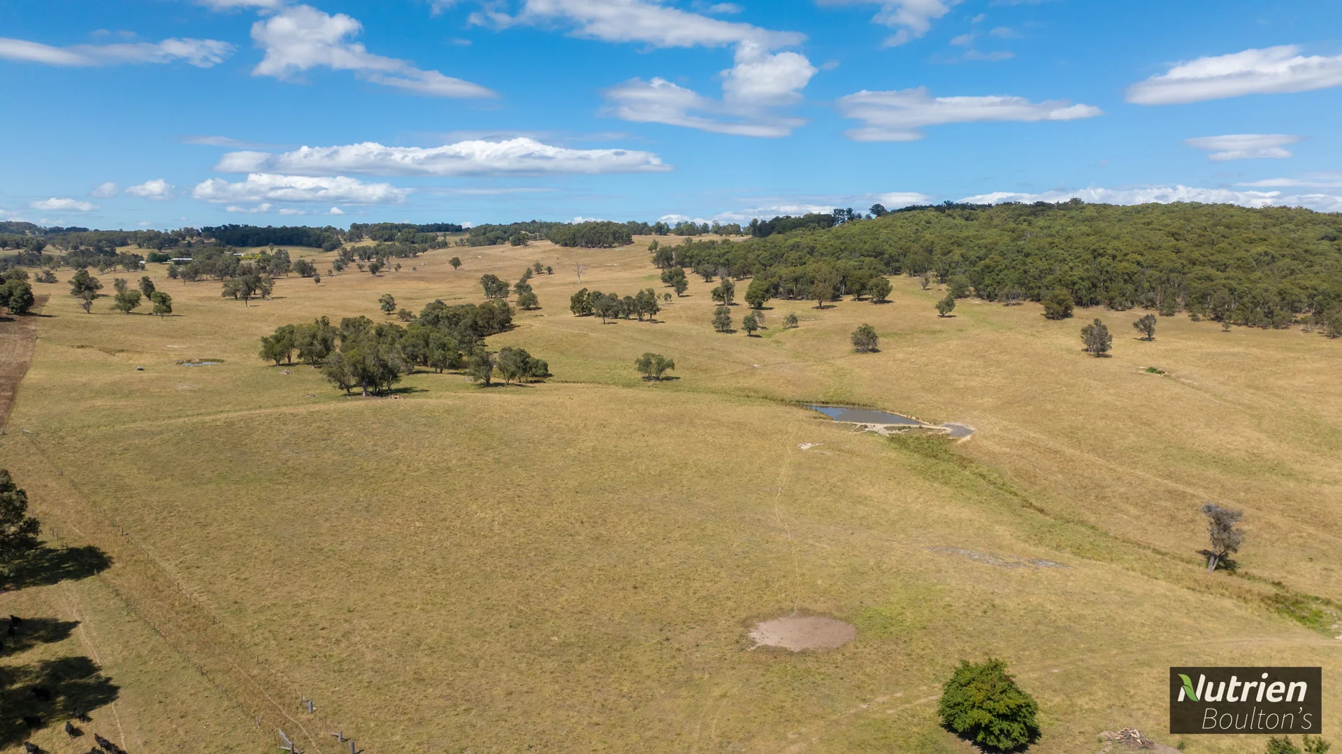 Additional image 35 of 224 Niangala-Walcha Road, Niangala NSW 2354
