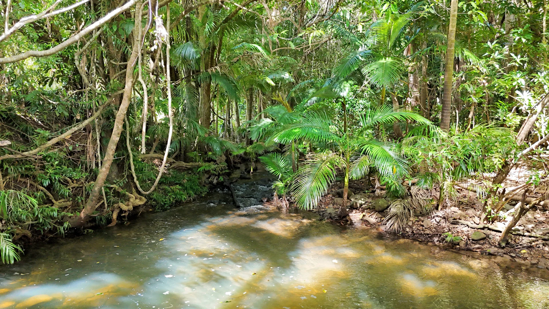 Additional image 28 of 6 Brooks Road, Kuttabul QLD 4741